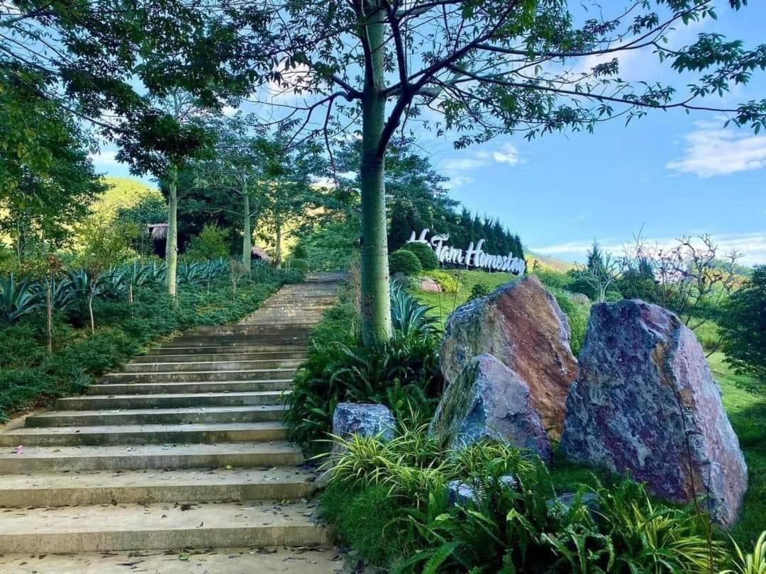 Ho Tam Homestay Hòa Bình Exteriör bild