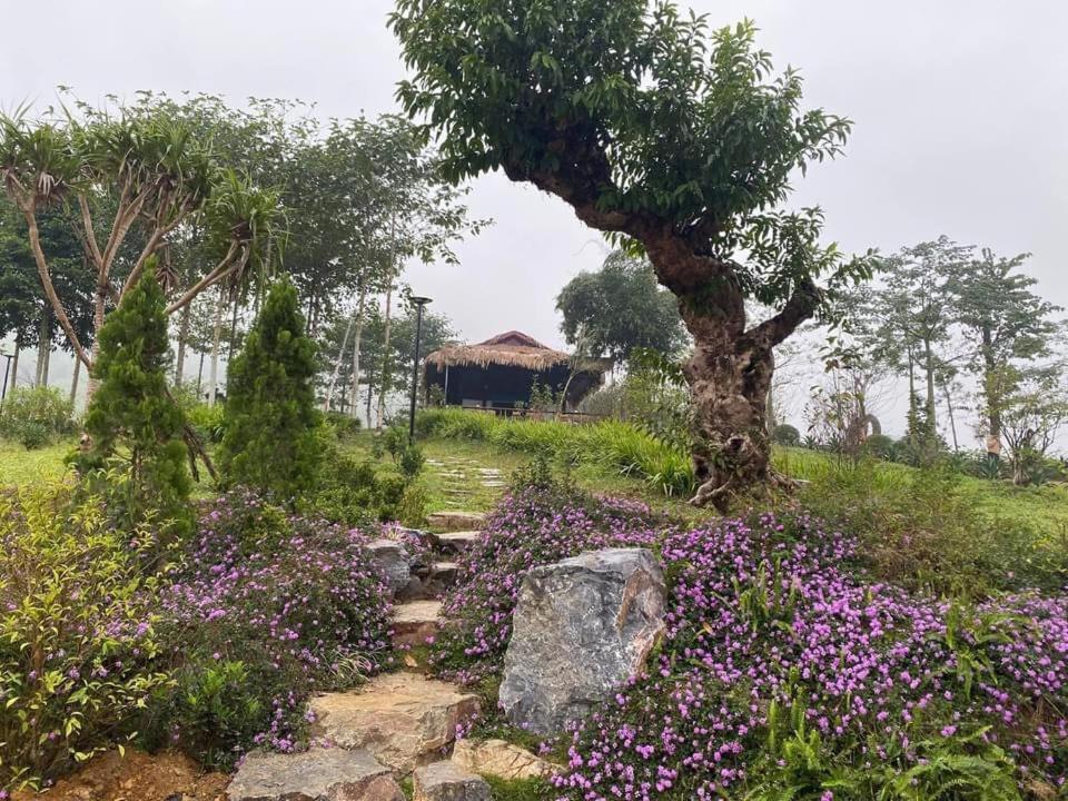 Ho Tam Homestay Hòa Bình Exteriör bild